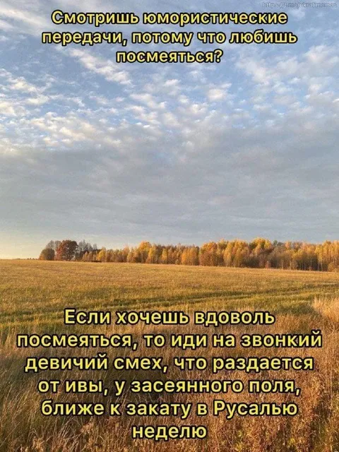 Звонкий девичий смех от ивы