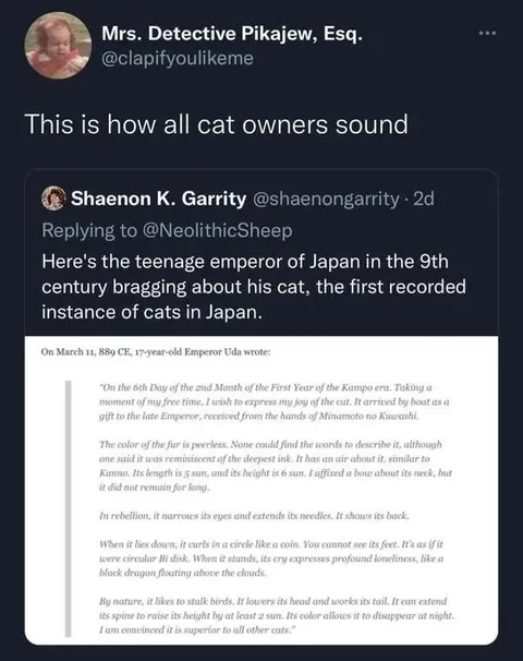 How All Cat Owners Sound