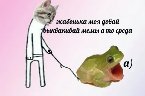 Жабонька, выкладывай мемы