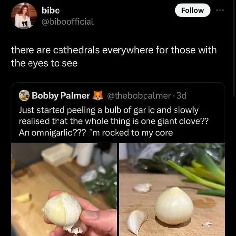 The Giant Garlic Clove Revelation