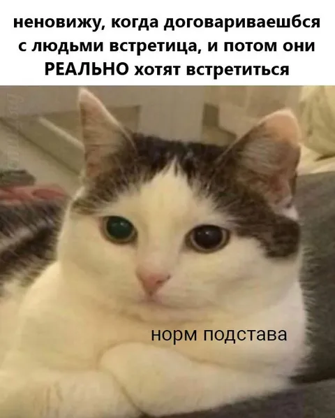 Когда люди реально хотят встретиться