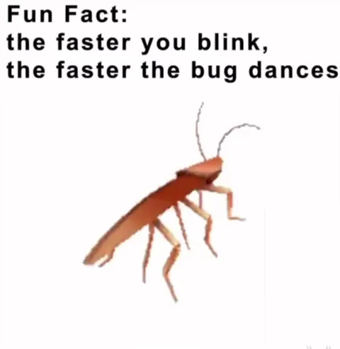 Blink Faster, Bug Dances