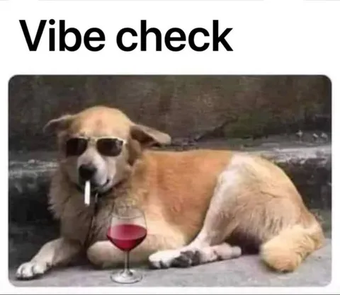 Dog Vibe Check