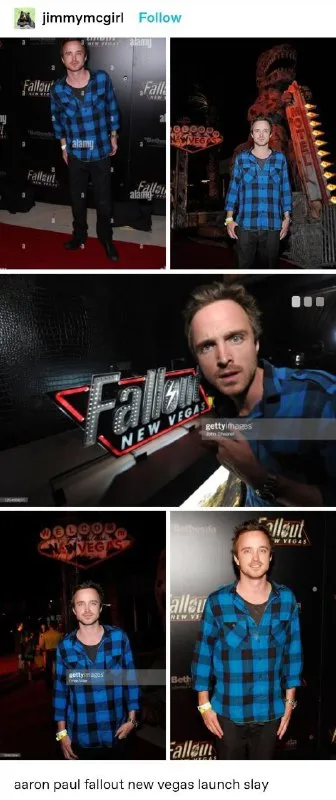 Aaron Paul Fallout New Vegas Slay