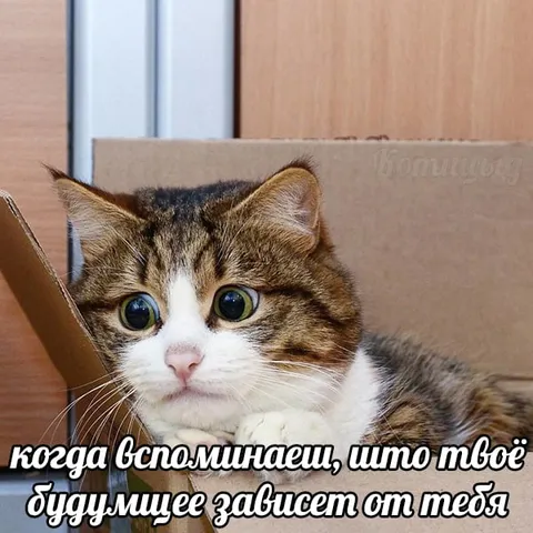 Будущее зависит от тебя