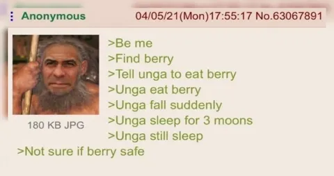 Unga Falls Asleep After Berries
