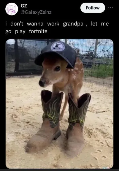 Deer Doesn’t Want to Work