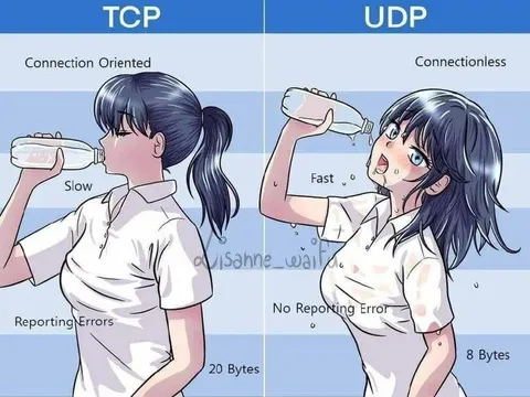TCP vs UDP Comparison Meme