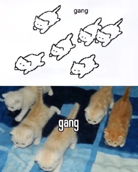 Kitten Gang