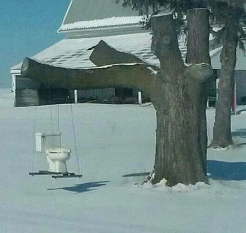 Туалет на лыжах