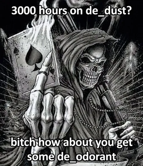 3000 Hours on De_Dust