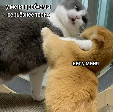 У меня проблемы серьёзнее твоих