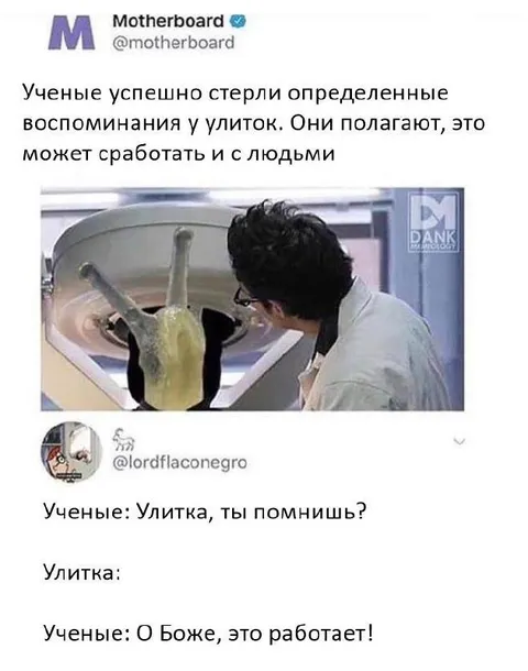 Улитка после стирания памяти