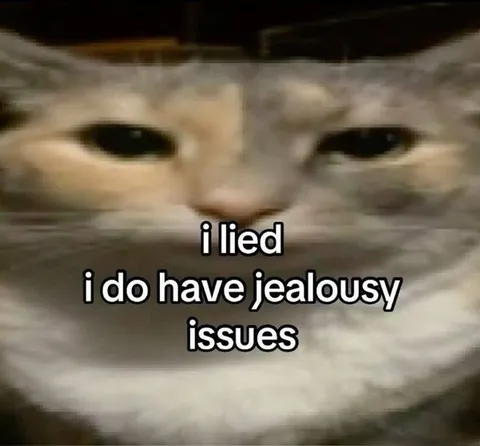 Cat Admits Jealousy Issues