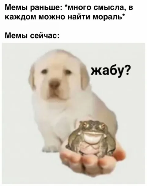 Мемы сейчас: жабу?