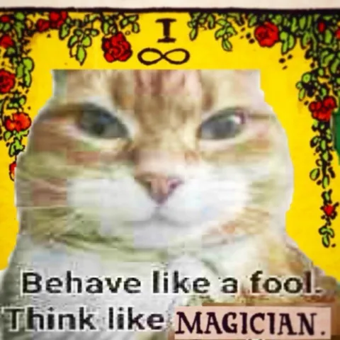 Behave Like a Fool