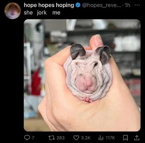 She Jork Me Rat