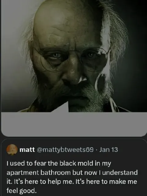 Black Mold Understands Me