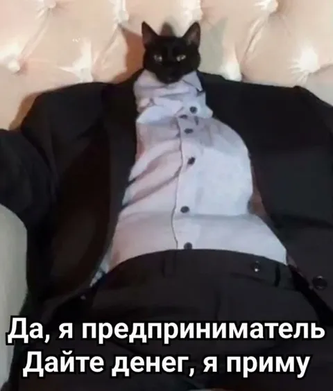 Кот-предприниматель просит денег