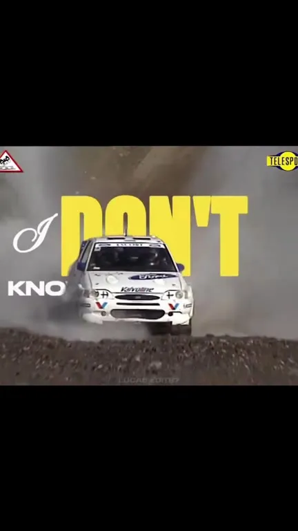 Rally Cars Singing Max