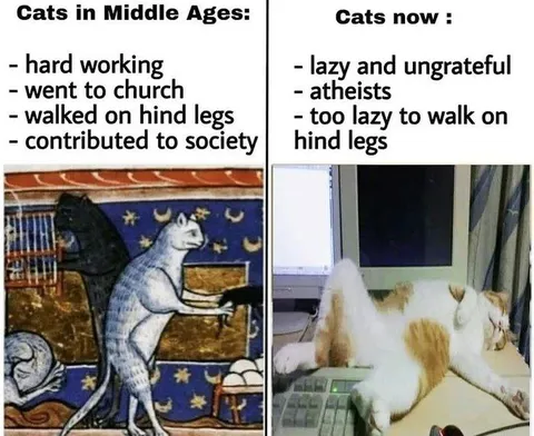 Cats Then and Cats Now