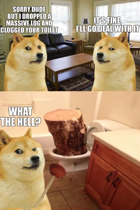 Doge Toilet Log Disaster