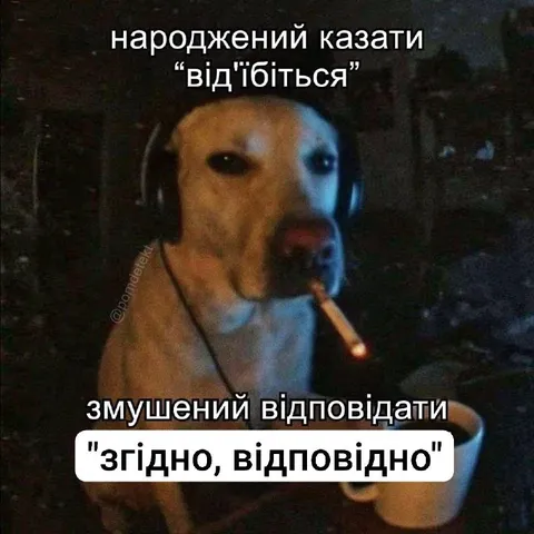 Народжений казати «від'їбіться»