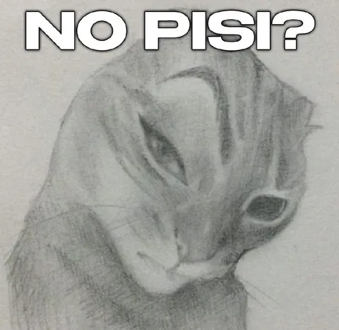 No Pisi? Crying Cat
