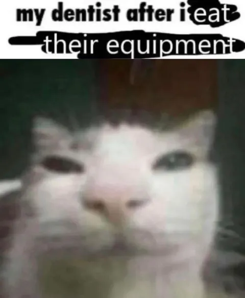 Dentist After I Eat Their Equipment