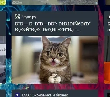 Грустный кот слушает музыку