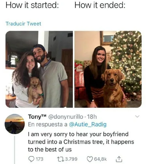 Boyfriend Turned Into Christmas Tree
