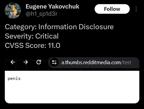 Critical Penis Information Disclosure