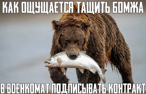 Медведь тащит рыбу в военкомат