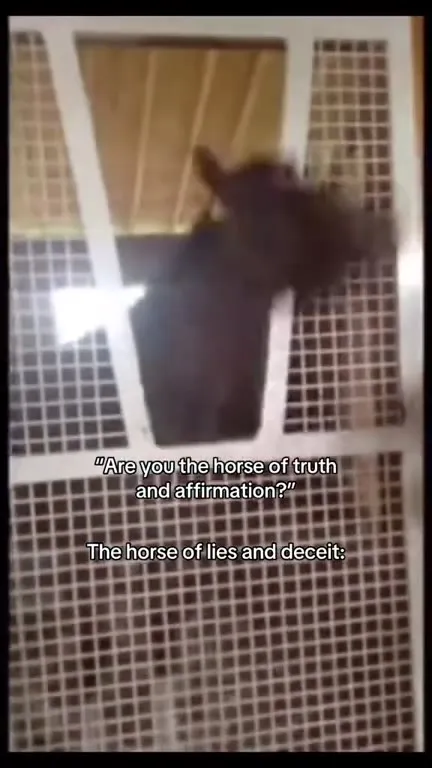 Horse of Lies and Deceit