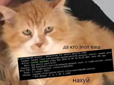 Да кто этот ваш нахуй