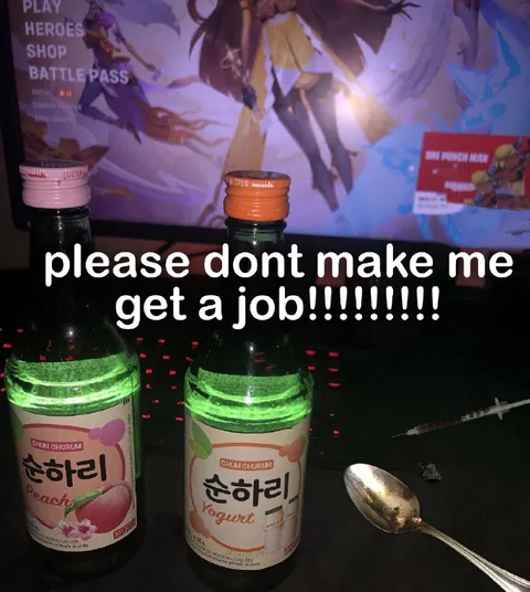 Please Don’t Make Me Get a Job