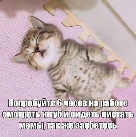Шесть часов листать мемы на работе