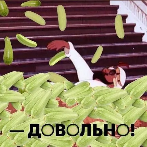 Кот среди кабачков: довольно