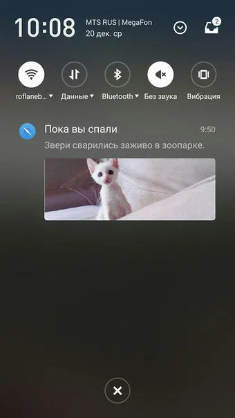 Звери сварились заживо в зоопарке