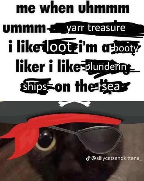 Pirate Cat Loves Treasure