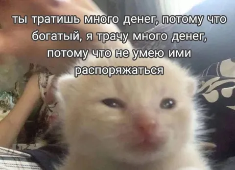 Богатый и безответственный транжира