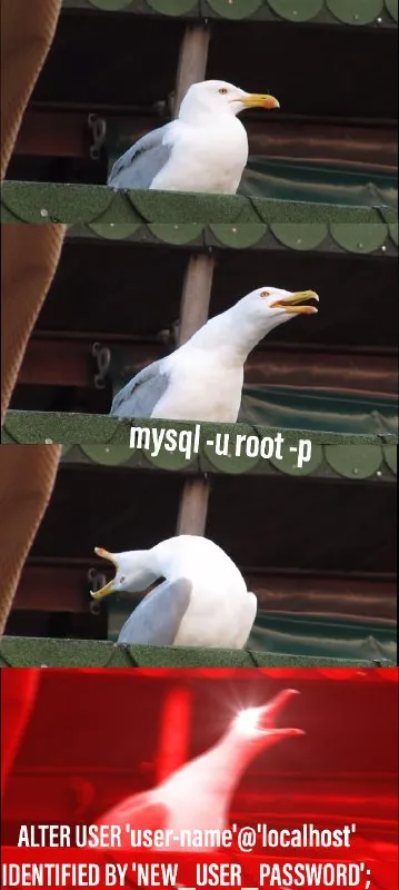 Seagull SQL Password Reset