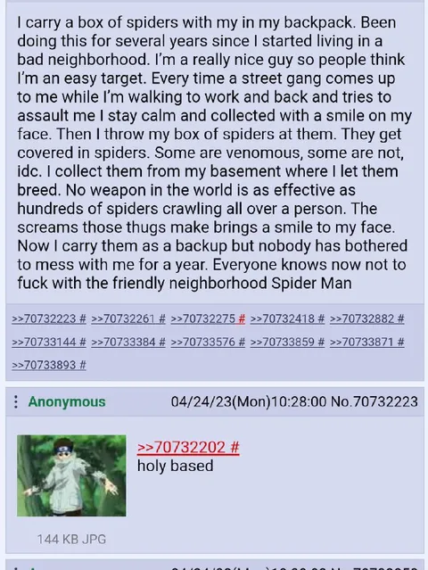 Friendly Neighborhood Spider Man