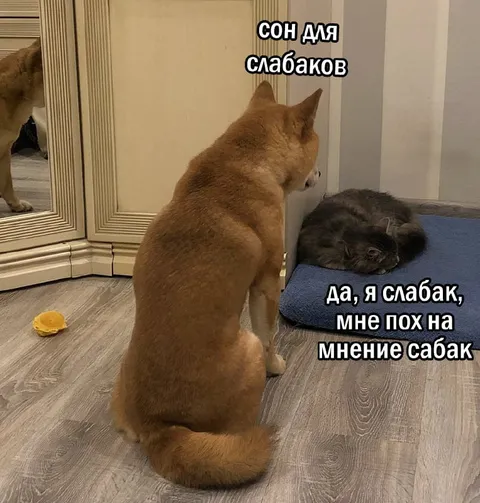 Сон для слабаков