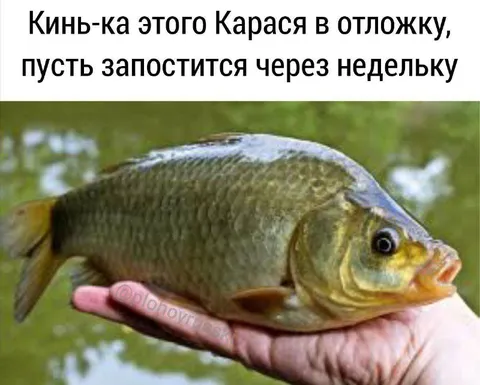 Карась на неделю в отложку