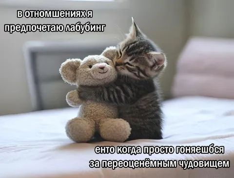Котёнок обнимает лабубу