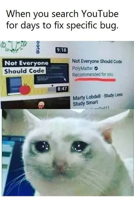 Searching YouTube for Days