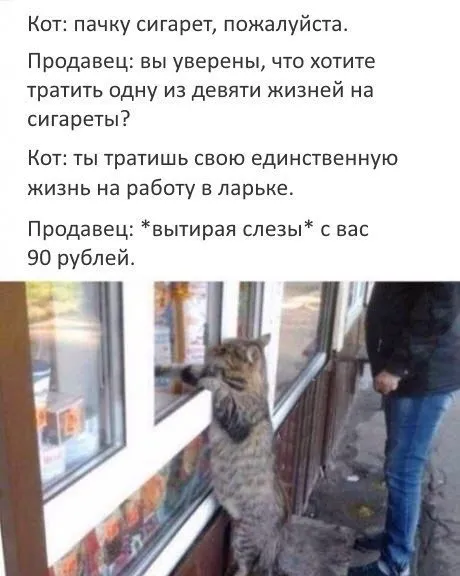 Кот покупает пачку сигарет