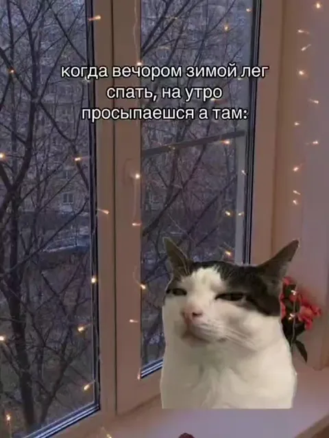 Когда просыпаешься а там Новый год