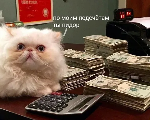 По моим подсчётам ты пидор